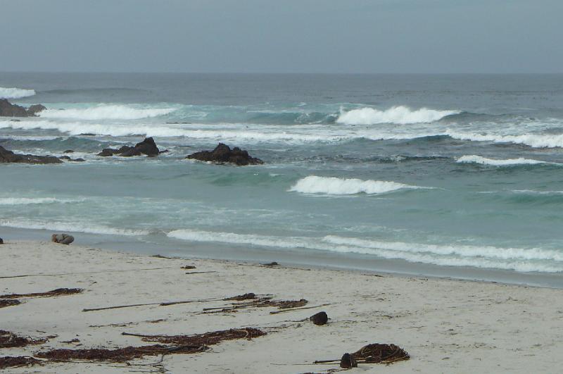 Carmel 10-30-08 247.jpg